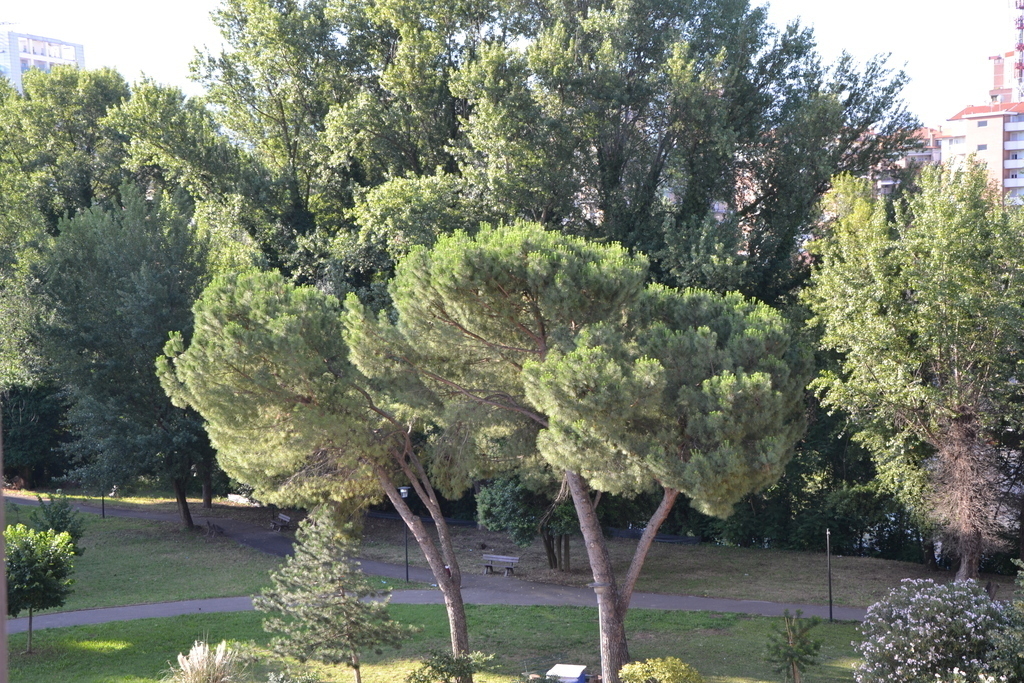 our green area around the building