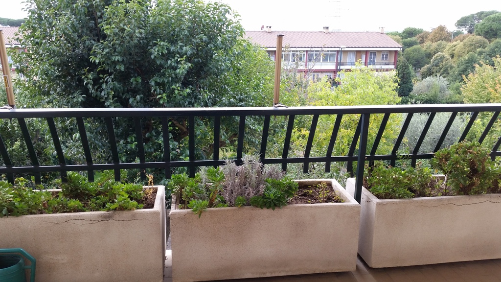 the first floor balcony