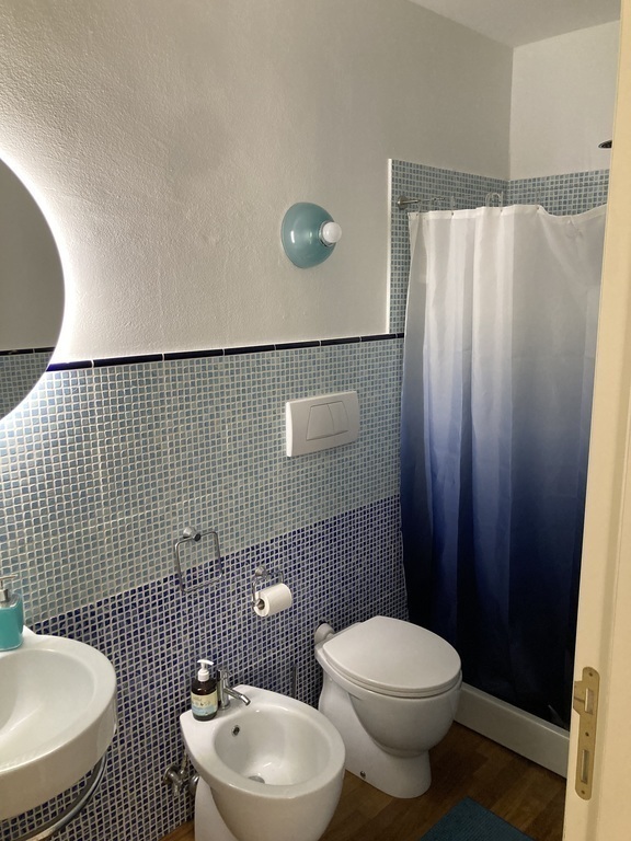 Third bathroom downstairs