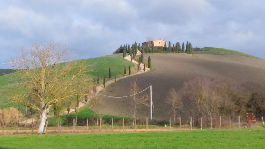 Chianni...typical landscape