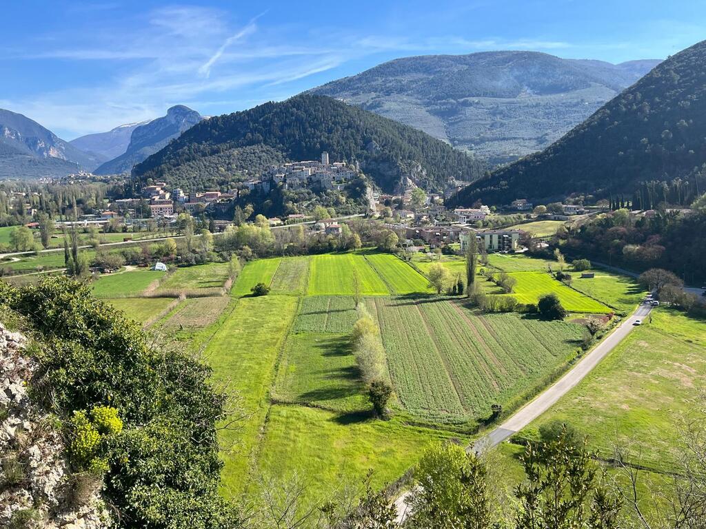 paronamic view from our balcony