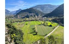 paronamic view from our balcony