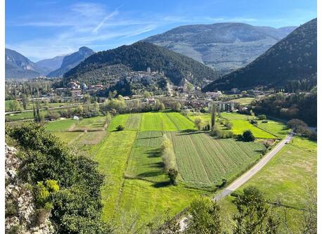 paronamic view from our balcony