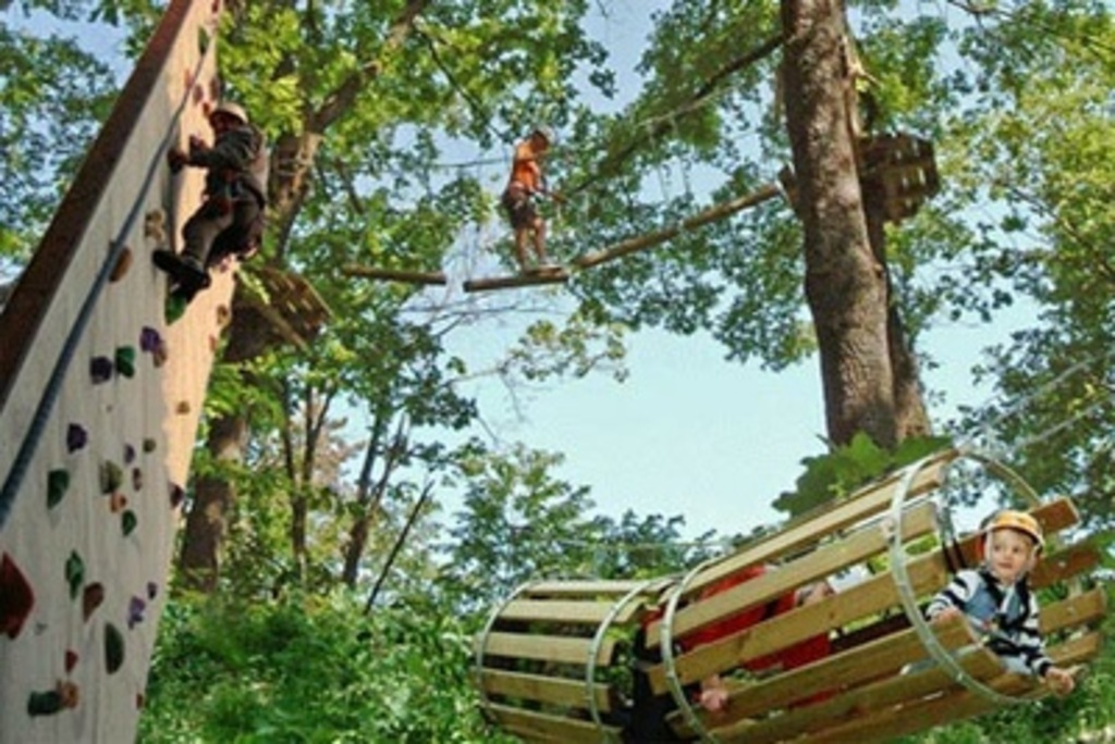 Skypark Parco Avventura - Perticara di Novafeltria (RN), in auto raggiungibile in 35 min