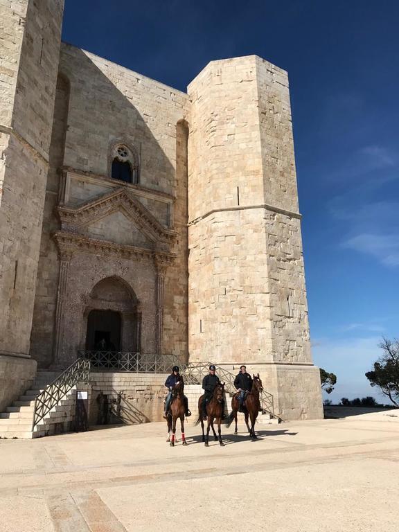Andria Castel del monte - Cavalieri