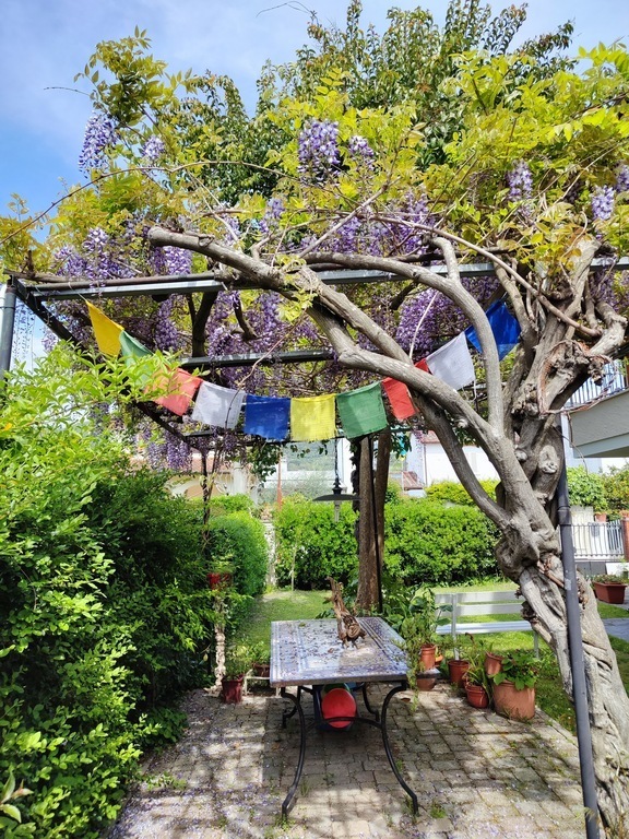 The table in the garden