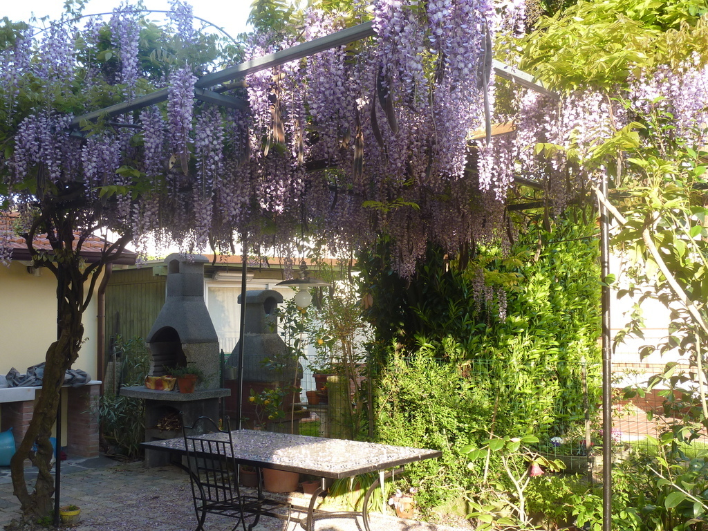 the table in the garden with the barbecue