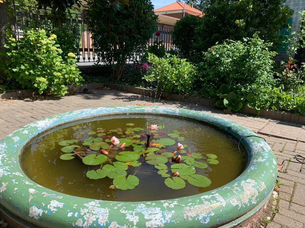 The little fountain in the garden