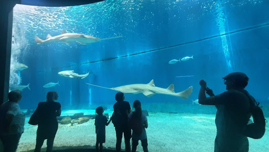 Acquario di Genova - Genova's aquarium