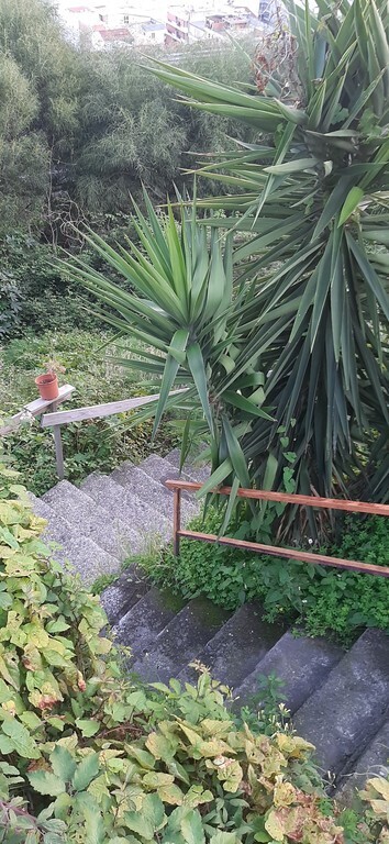 ladder to go down to Letojanni- scala per scendere a Letojanni