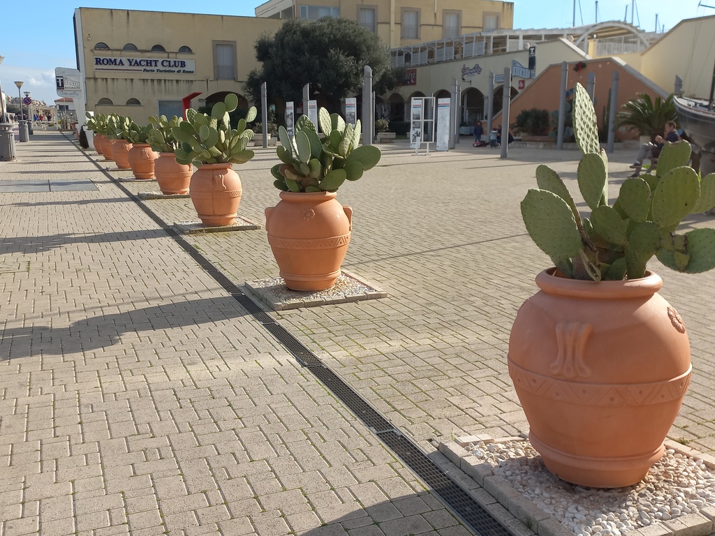 Again the turist harbour