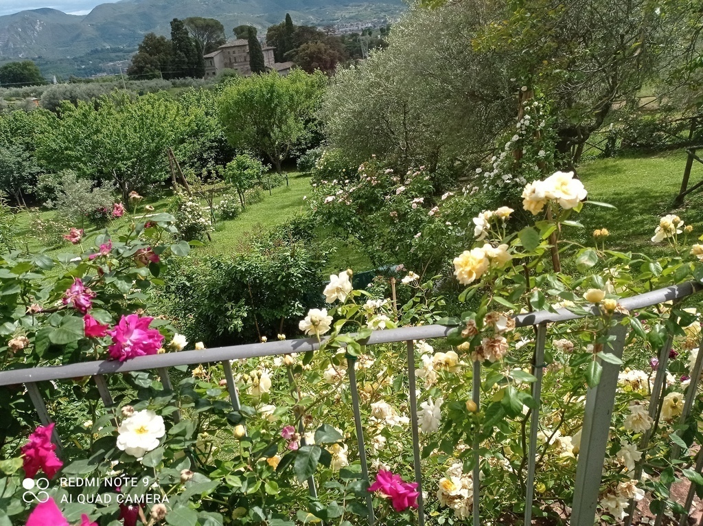 hobby dei proprietari...