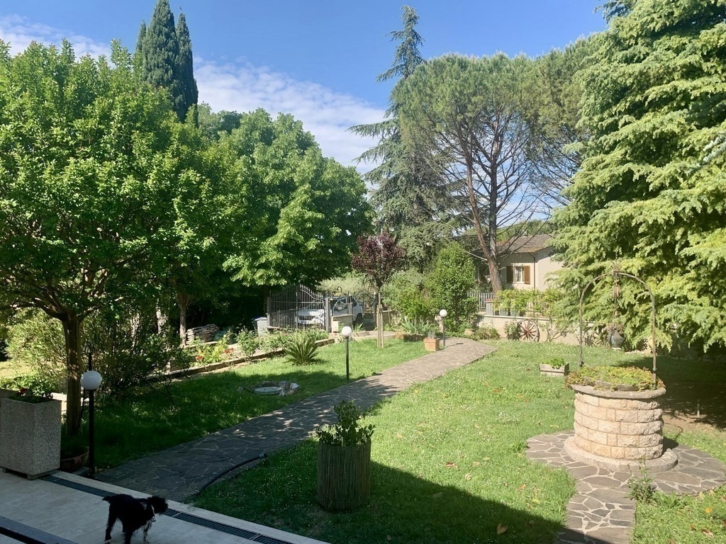 Front yard with Rio (black dog)