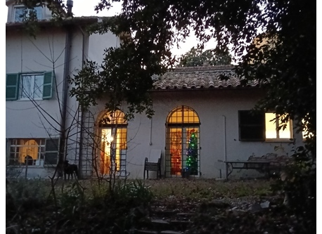 the house from the garden