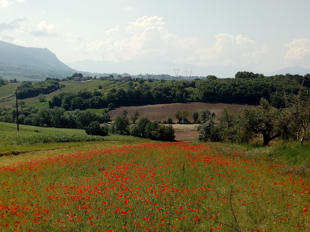 paesaggio in primavera - landscape in the spring