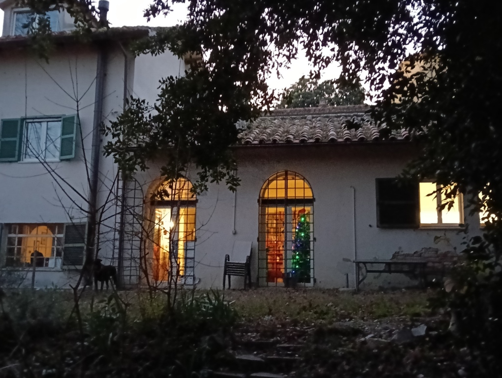 the house from the garden