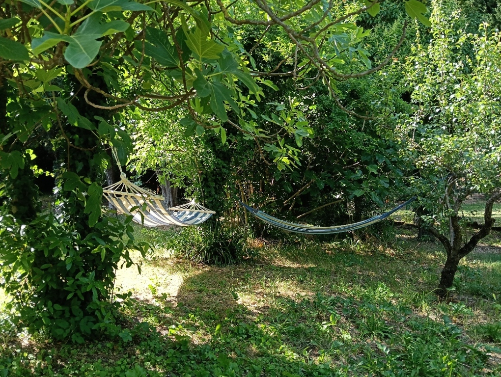 Hammocs in the garden