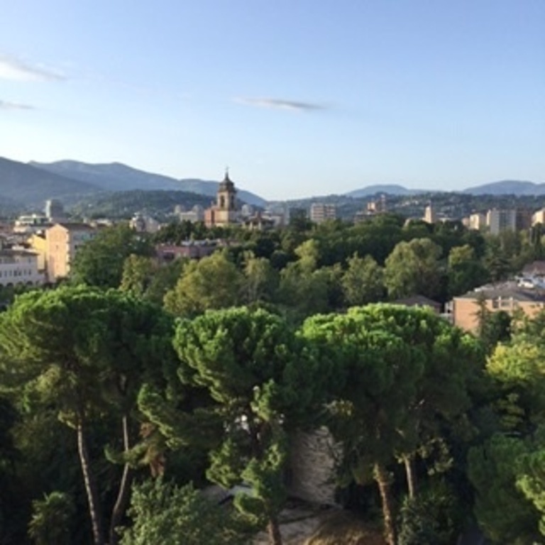 Vista panoramica 