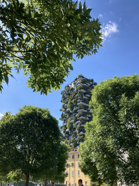 Nuove costruzioni Bosco Verticale