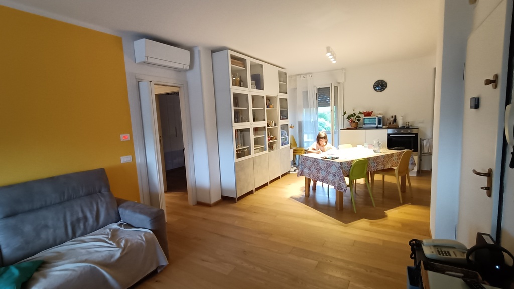 Dining area (open space with living room)