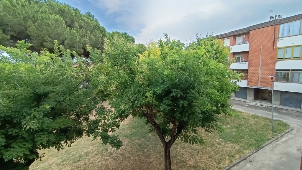 View from the balcony