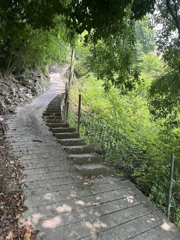 The path that connects the house to the road.