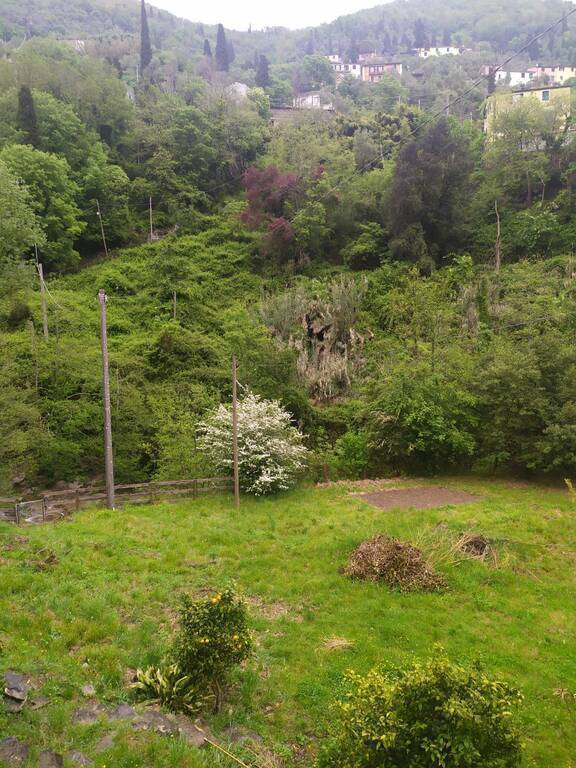 View of the garden. The parking is left of the yellow house.