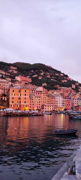 Camogli, vista del porto