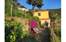 vista della casa dal giardino di ingresso