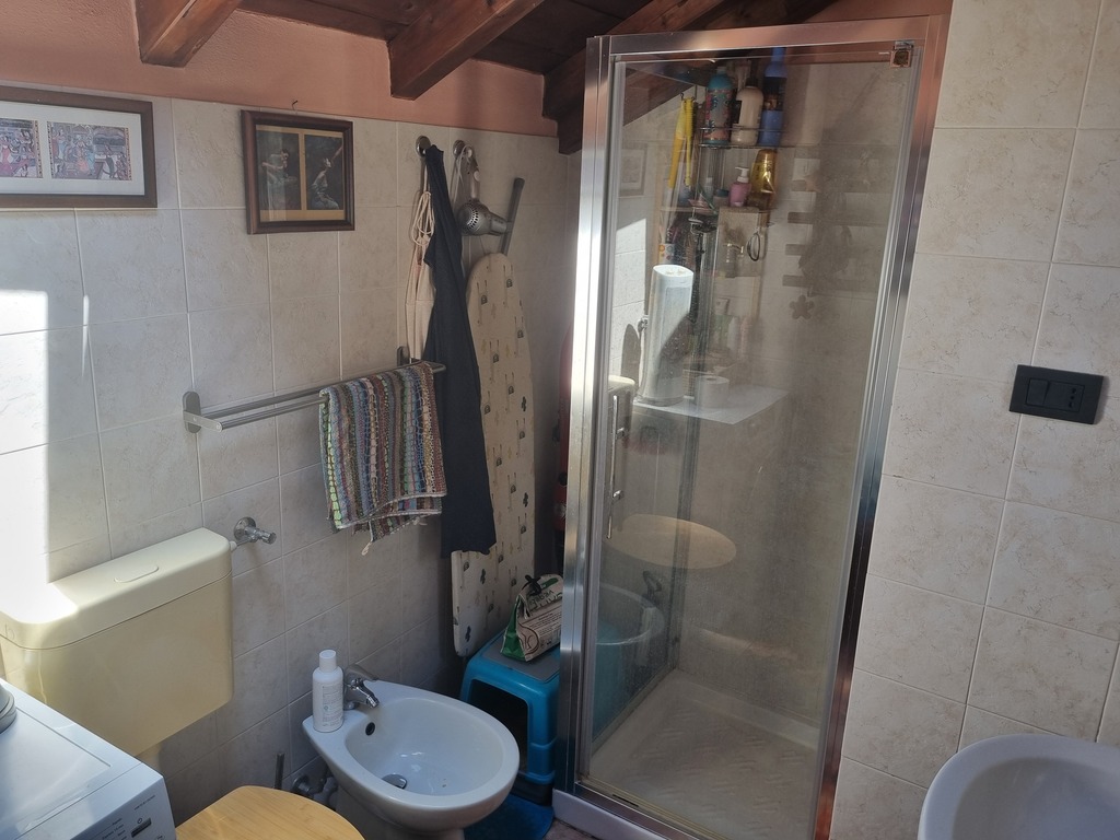 bagno con la doccia, bidè, lavatrice.