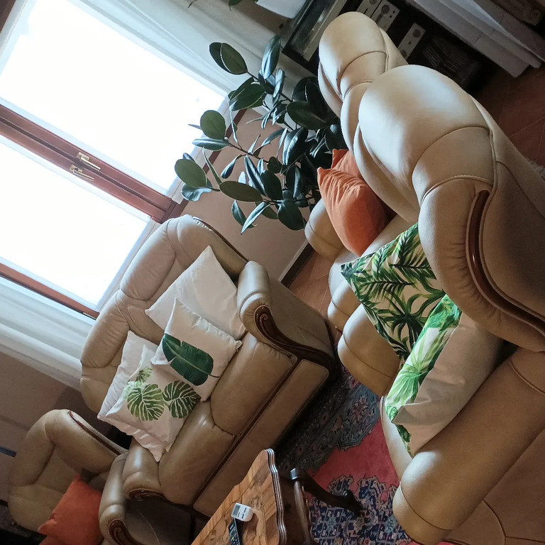 sala con divani  e caminetto  e tv