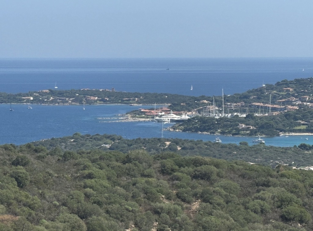 Vista dalla terrazza 