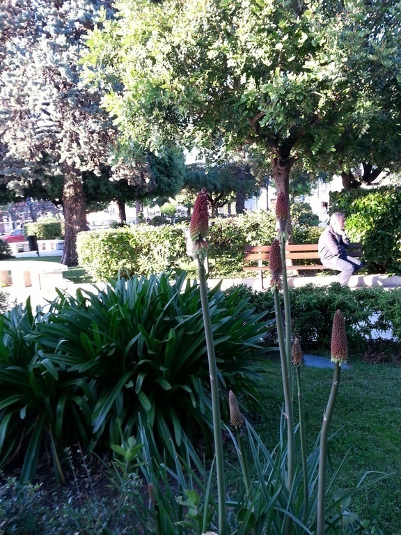 Montenero di Bisaccia