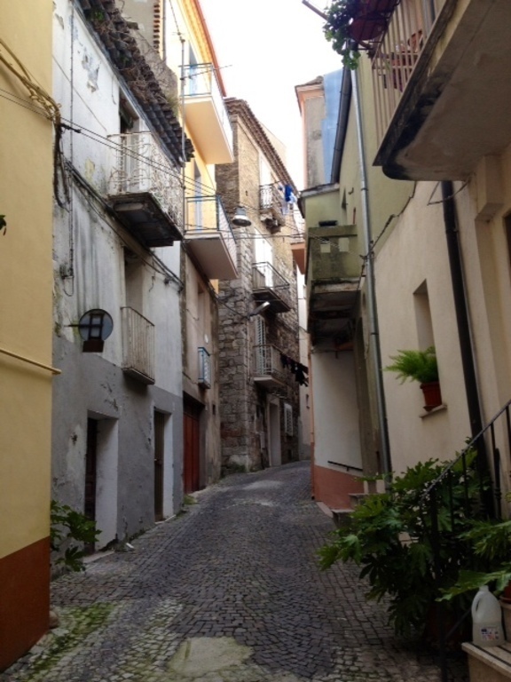 Part of our street