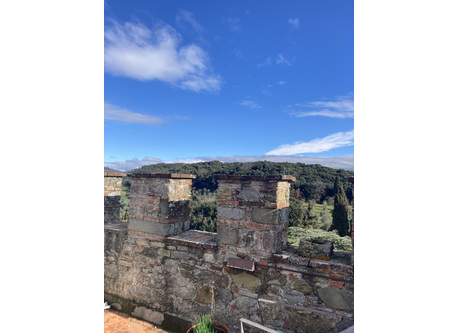 View from the roof top