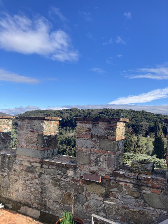 View from the roof top