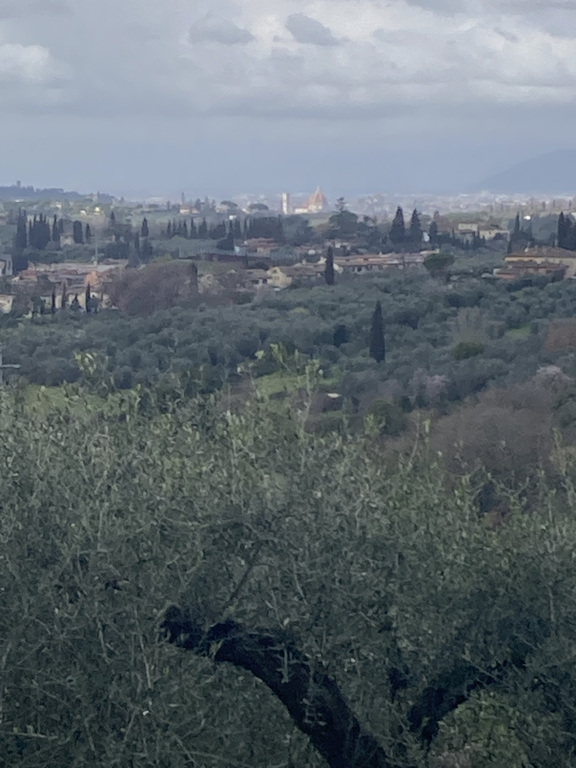 Florence from the tower