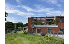 Our terrace in summer