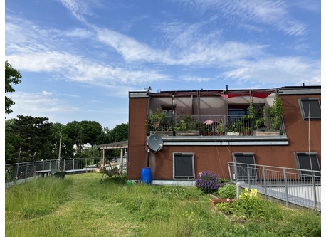 Our terrace in summer