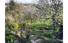the view from the terrace into the garden in spring
