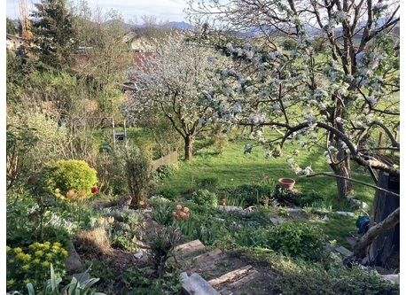 the view from the terrace into the garden in spring