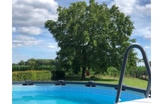 Swimming pool in summer