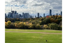 Riverdale Park - a walk away from our house - a great view of Toronto