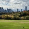 Riverdale Park - a walk away from our house - a great view of Toronto