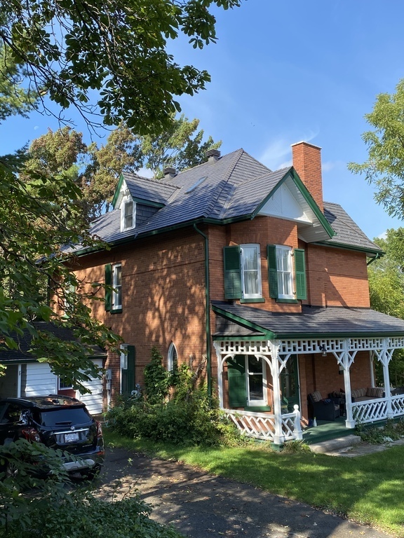 Trees provide lots of shade in the summer 