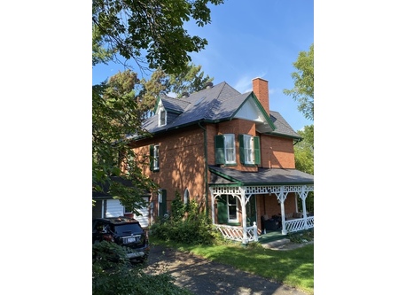 Trees provide lots of shade in the summer 