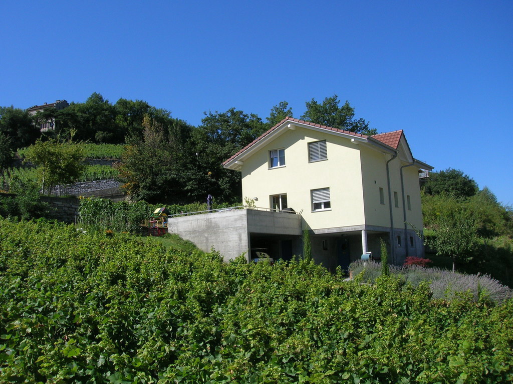 Wunderschön ruhig und zentral gelegenes Haus.We are Intervac members since 1994 and we did more than 20 exchanges.