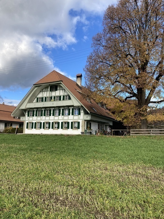 Flat in the groundfloor