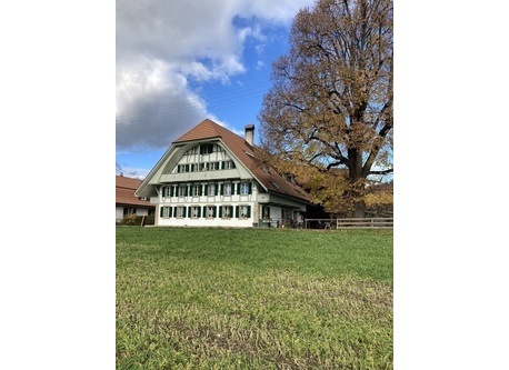 Flat in the groundfloor