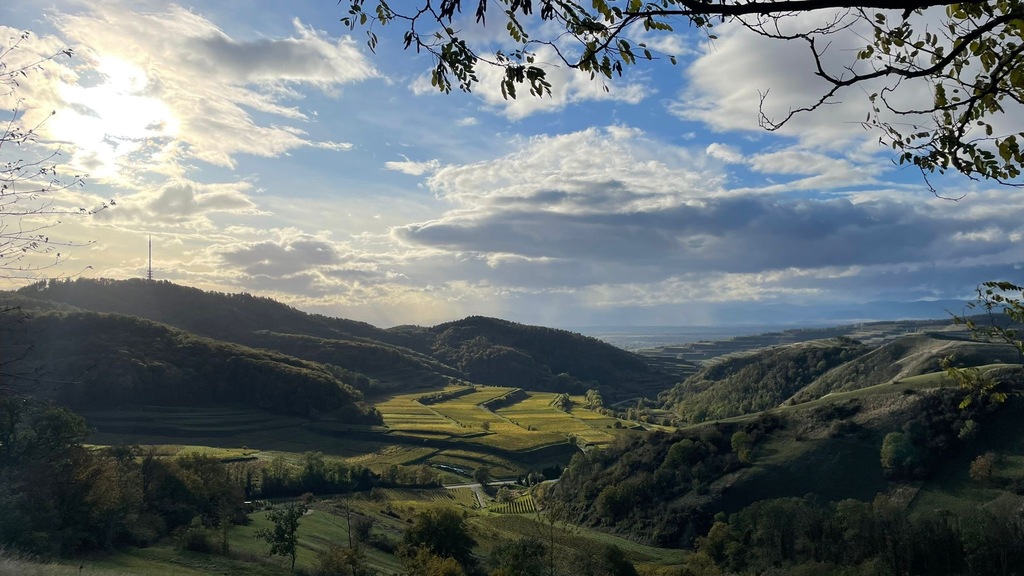 Zwischen Kaiserstuhl und Schwarzwald